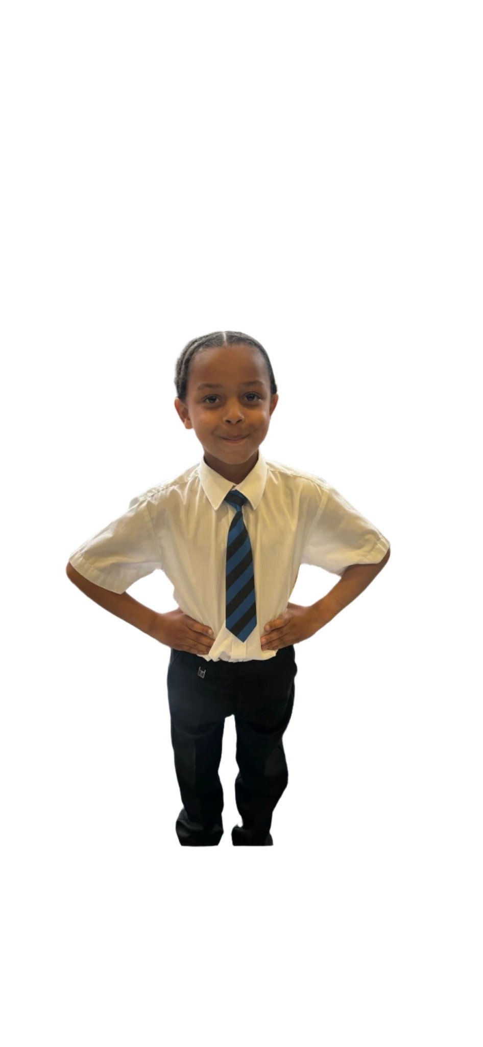 Abbots Hall Primary Standard Tie (Yr 3 - 6) - Uniformwise Schoolwear