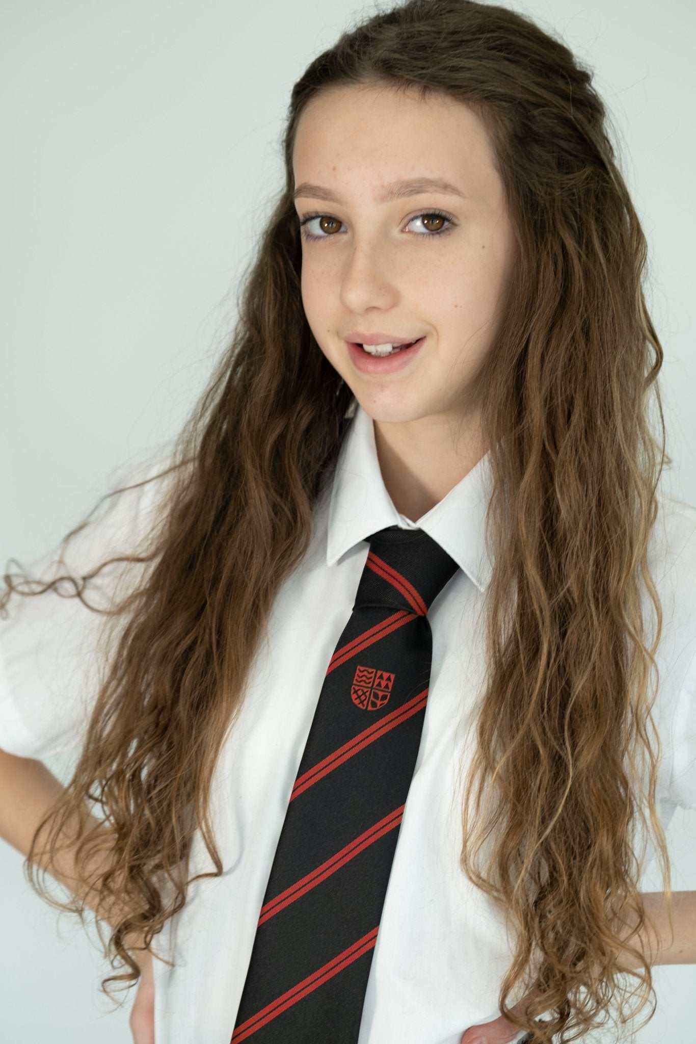 Thames park Tie - red house - Uniformwise Schoolwear